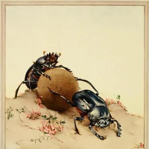 昆虫记中黑腹狼蛛、蟹蛛、迷宫蛛与克罗多蛛深度解析