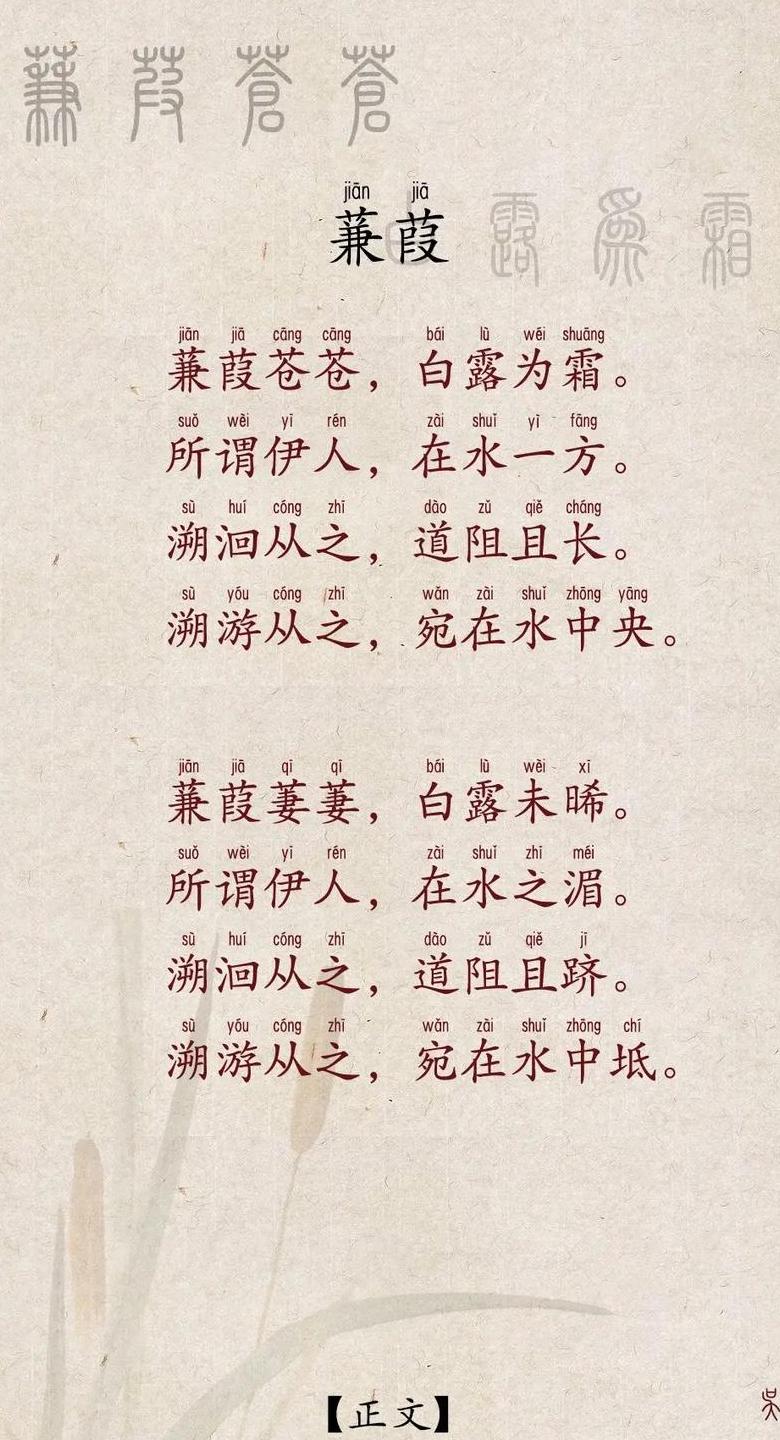 蒹葭全诗拼音解读