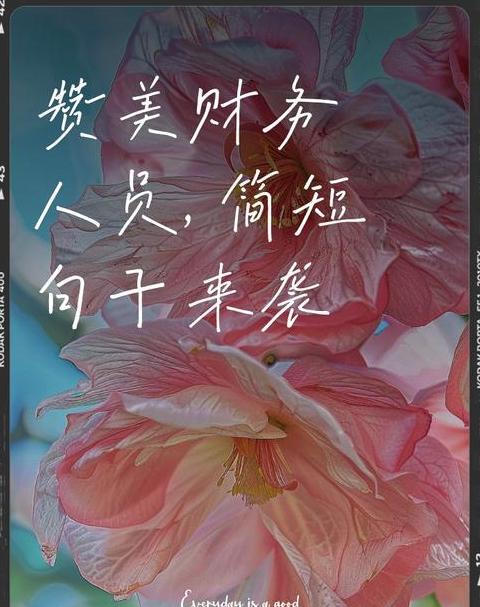 致敬财务英雄：坚守岗位，匠心筑梦