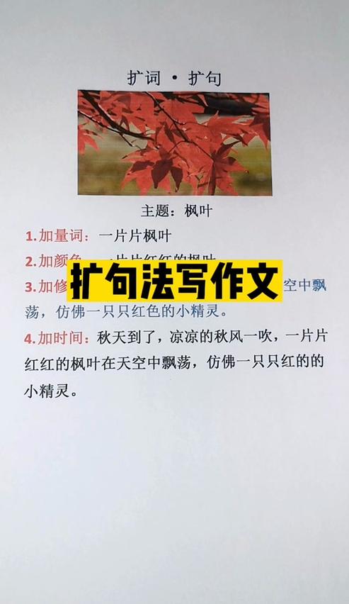探寻秋色：枫叶中的abab红色词汇之美