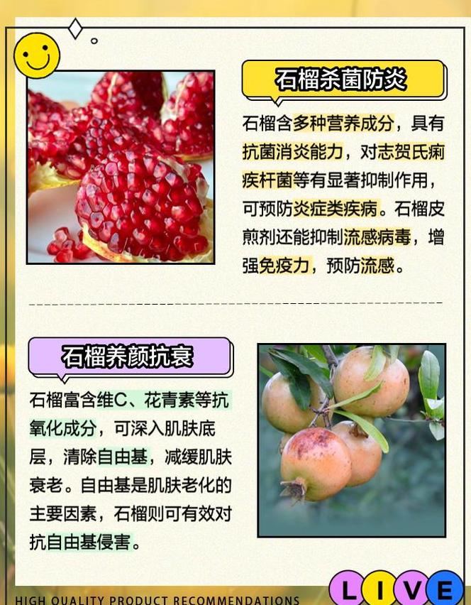 石榴籽精神：传承与新时代使命