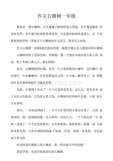 石榴树四季特征详解