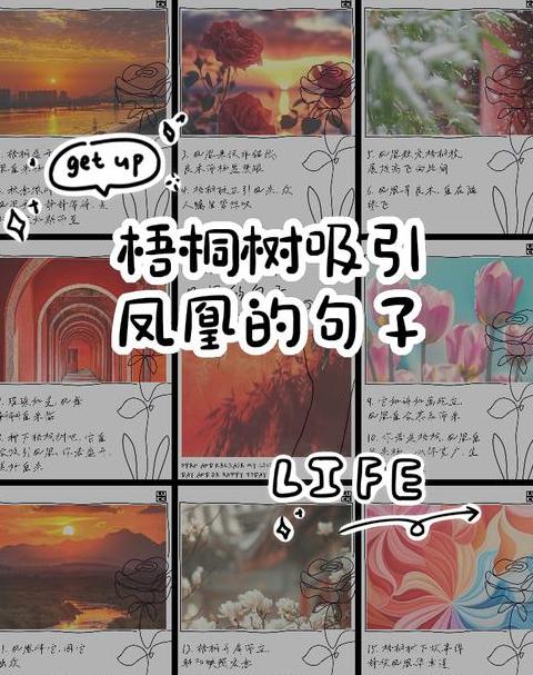 梧桐树的四季诗篇：唯美与生命的赞歌