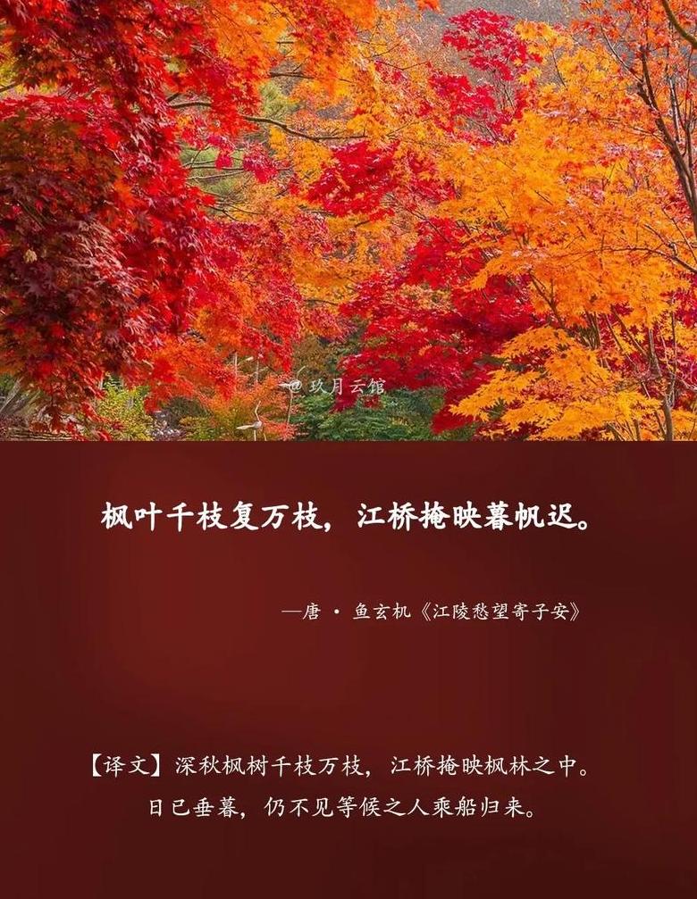 跟着示例，学会仿写词语技巧