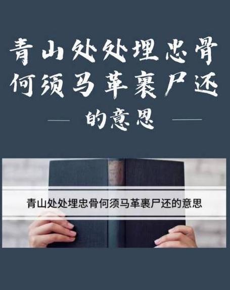成语探秘：解读成仁成义的深意与演变