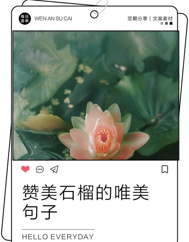 石榴之美：品味与文化的交融