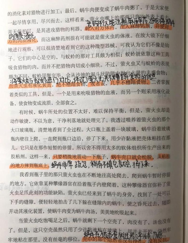 昆虫记揭秘：萤火虫的神秘昵称及狩猎之谜