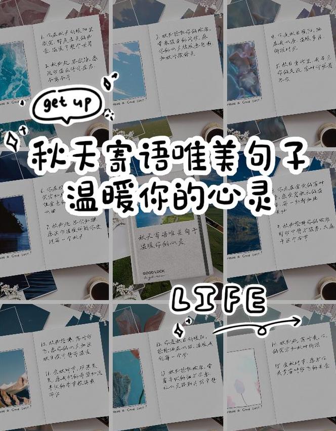 秋日金句：收获励志，感悟生活之美