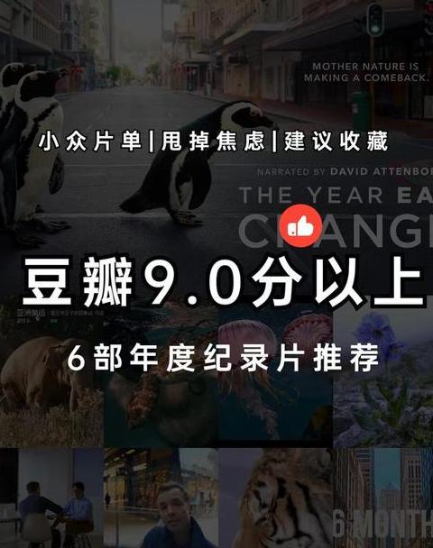 豆瓣排名前十的纪录片