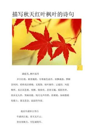 秋日红叶：诗意盎然的秋色画卷