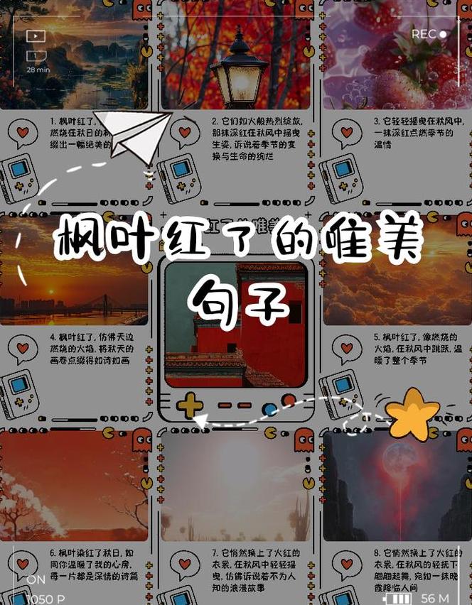 秋日枫叶：千变万化的自然诗篇
