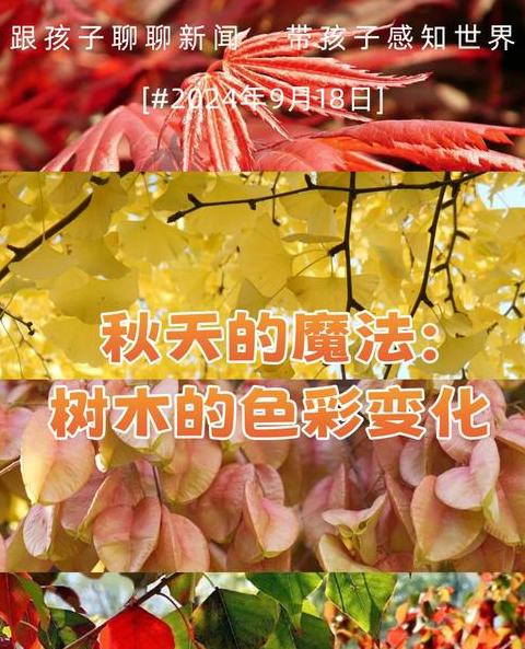 揭秘秋叶变色：从绿变黄的秘密