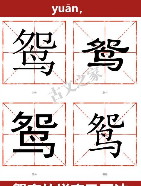 探索鸳字组词奥秘，丰富你的词汇库