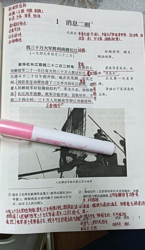 三年级语文搭船的鸟词汇总结与八年级上册知识点归纳