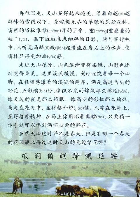 探索稀罕的多重含义与用法