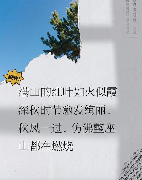 秋日枫叶之美：诗意与哲理共赏