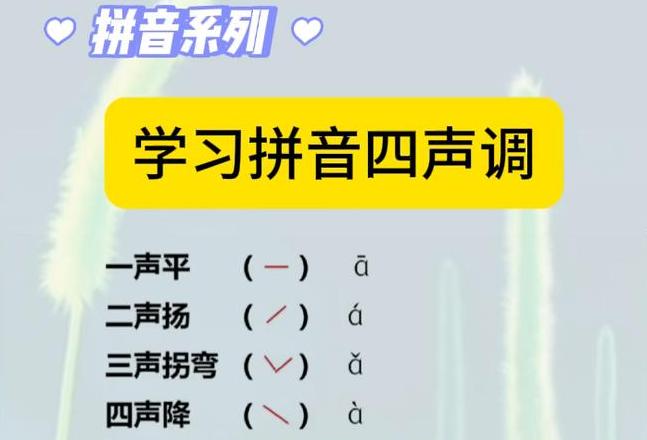 拼音e音节发音技巧及四声读法解析