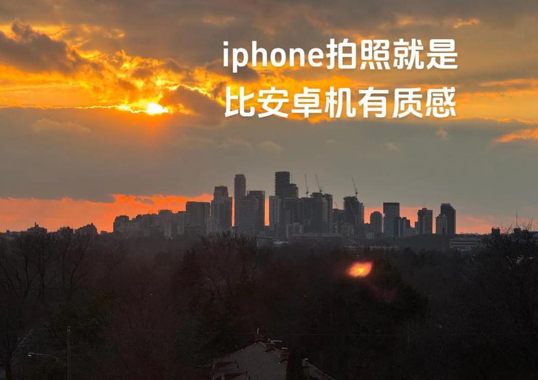 苹果手机拍照颠倒怎么办？轻松解决拍照反问题