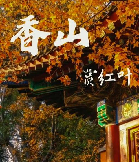 香山红叶最佳观赏月份指南