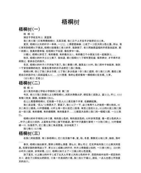 夏之梧桐：绿荫庇护下的城市守护者