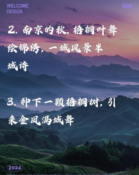 秋天梧桐树：诗意盎然的落叶风景