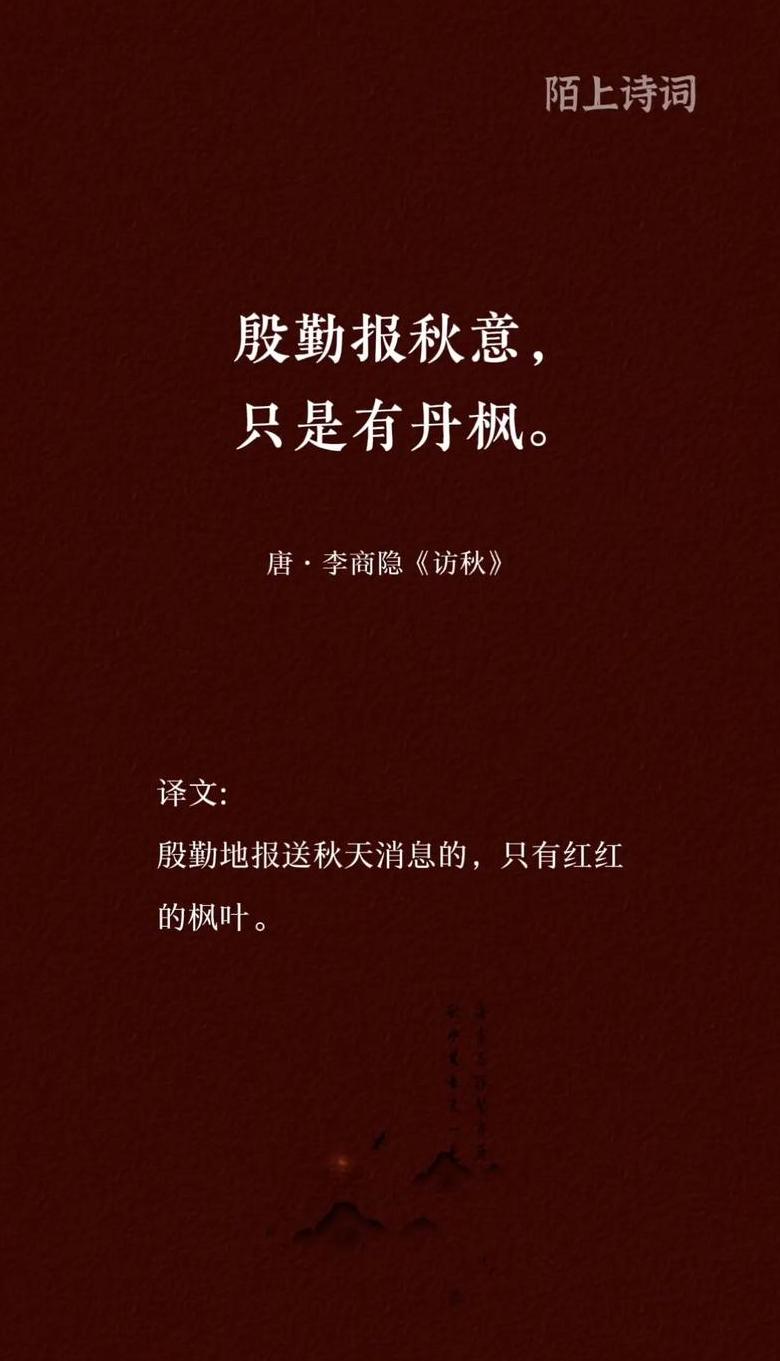 霜叶映雪：深秋初冬枫叶诗意赏析