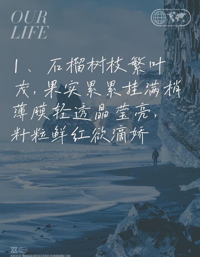 石榴美誉词集锦：四字赞美与水晶透明