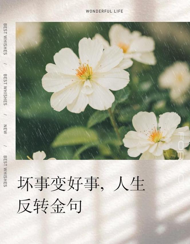 好事难掩一过，揭秘做错事抵消百善的成语